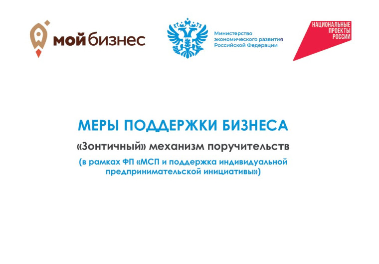 "Зонтичный " механизм поручительств. "Зонтичный " механизм поручительств.